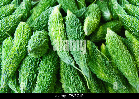 Primo piano di meloni amari Foto Stock