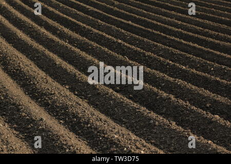 Appena arati campo con un aratro parallelo solchi Foto Stock