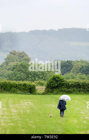 Un centro di età dog walker fa il suo modo attraverso un campo di agricoltori mentre fuori camminato un piccolo cane. Che regge un ombrello per tenere il suo asciutto dalla pioggia Foto Stock