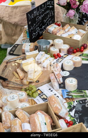 Nettlebed creamery formaggio stallo a Stonor Park food festival. Stonor, Henley-on-Thames, Oxfordshire, Inghilterra Foto Stock