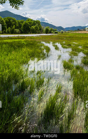 Inizio estate inondazioni Sud Arkansas River vicino Salida; Colorado; USA Foto Stock