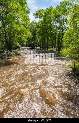 Inizio estate inondazioni Sud Arkansas River vicino Salida; Colorado; USA Foto Stock