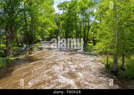 Inizio estate inondazioni Sud Arkansas River vicino Salida; Colorado; USA Foto Stock