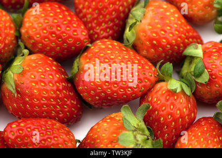 Appena raccolto fragola isolati su sfondo bianco Foto Stock