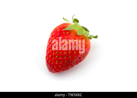 Appena raccolto fragola isolati su sfondo bianco Foto Stock