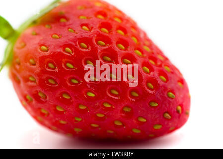 Appena raccolto fragola isolati su sfondo bianco Foto Stock