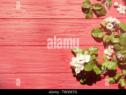 Ramoscelli di albero con fiori che sbocciano su sfondo di legno Foto Stock