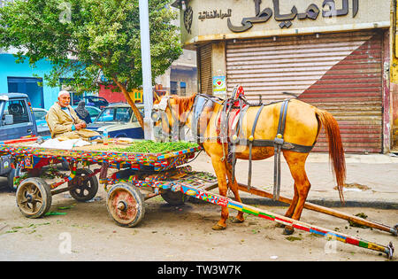 Il Cairo, Egitto - 22 dicembre 2017: la strada fornitore vegetale ha una cena, seduto su un vecchio carrello il suo cavallo mangia erba succosa dal mucchio sul c Foto Stock