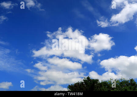 Nuvole sopra le cime degli alberi Foto Stock
