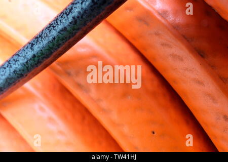 Primo piano di una spirale flessibile arancione nella luce solare naturale Foto Stock