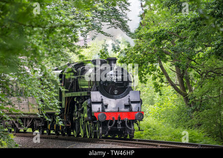 Close up di vintage UK treno a vapore anteriore, si avvicina, passando attraverso rurali campagna estiva sul Severn Valley Railway linea Heritage. Regno Unito locomotive. Foto Stock