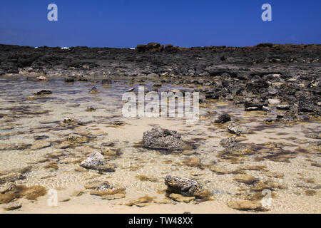 El Cotillo - Faro del Toston: vista sulla piscina naturale con pietre circondato da nere rocce vulcaniche a nord Fuerteventura Foto Stock