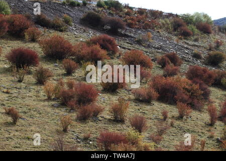 Autunno scenario di montagna Mengpen Foto Stock