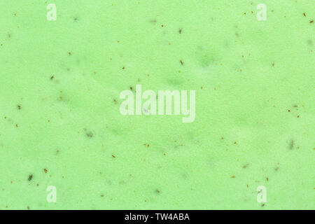 Deliziosa mint chocolate chip ice cream come sfondo Foto Stock