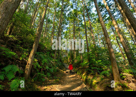 Asian woman in red coat, trekking in Kumano Kodo foresta, Giappone Foto Stock