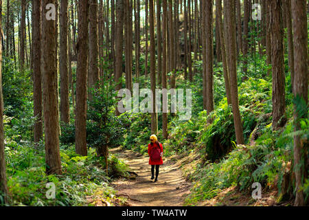 Woman in Red coat, trekking in Kumano Kodo foresta, Giappone Foto Stock