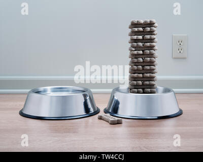 In modo compulsivo e ordinatamente impilati cane biscotti in metallo pet food vaso con acqua vaso sul pavimento di legno fresco con sfondo grigio Foto Stock