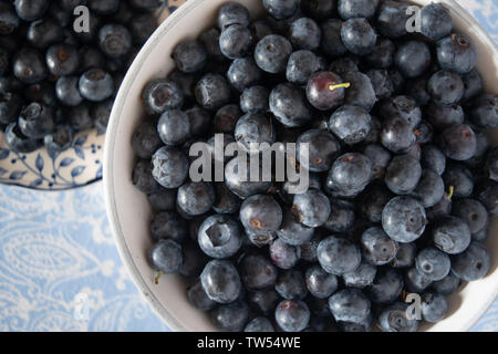 I mirtilli freschi raccolti riempiono una ciotola bianca in un ambiente luminoso e luminoso della cucina. Foto Stock