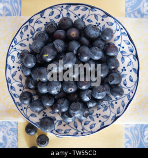 I mirtilli freschi raccolti riempiono un piatto stampato bianco e blu in un ambiente luminoso e luminoso della cucina. Foto Stock