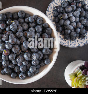 I mirtilli freschi raccolti riempiono una ciotola bianca in un ambiente luminoso e luminoso della cucina. Foto Stock