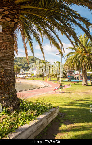 Area di parcheggio, Picton Ferry port, Isola del Sud, Nuova Zelanda Foto Stock