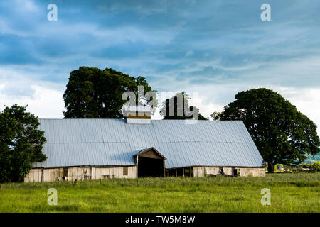 Vecchia stalla abbandonata impostato in un campo verde sotto un infausto buia e tempestosa sky - Willamette Valley, Oregon Foto Stock