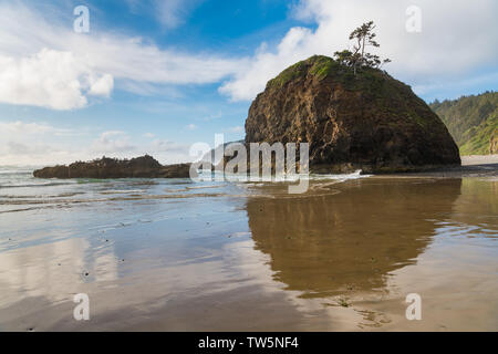 Una pila di mare la formazione di roccia e un bel cielo azzurro con moto vorticoso delle nuvole bianche si riflette sulla sabbia bagnata di una spiaggia lungo la costa dell'Oregon Foto Stock