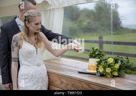 Sposa e lo sposo il taglio di torta di nozze, Jennycliff, Plymouth, Devon, Regno Unito Foto Stock