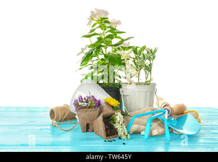 Composizione con piante e utensili da giardinaggio su sfondo bianco Foto Stock