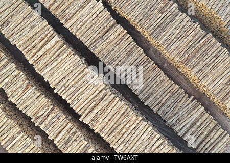 Un ordinatamente impilati log. Foto Stock