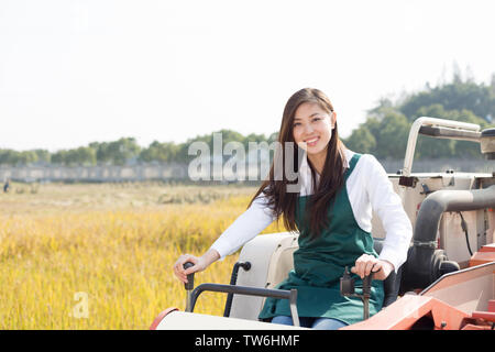 Giovane donna cinese agonomist in golden campo di cereali con piccole harvester Foto Stock