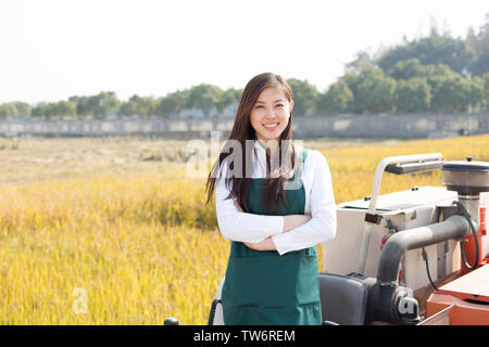 Giovane donna cinese agonomist in golden campo di cereali con piccole harvester Foto Stock