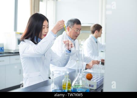 Persone che fanno di esperimento di chimica in laboratorio moderno Foto Stock