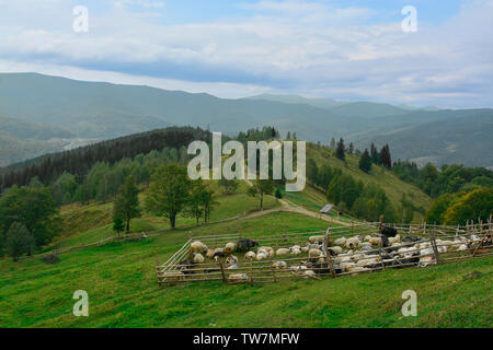 Vista di ovile in montagna Foto Stock