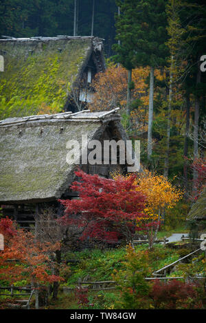 Licenza e stampe a MaximImages.com - Hida Folk villaggio con giapponese Gassho zukiri tradizionali case rurali. Takayama, Giappone. Foto Stock