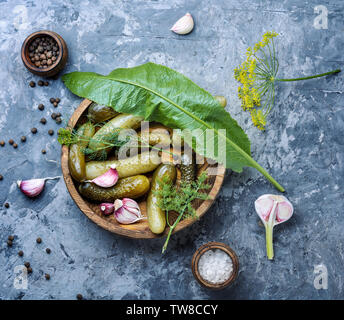 Marinata di cetrioli sottaceto.cetrioli sottaceto con erbe e spezie Foto Stock