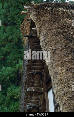 Storico Giapponese in stile Gassho casa rurale con tetto in paglia dettagli architettonici. Villaggio Ainokura, Prefettura di Toyama, Giappone. Gasshō-zukuri 合掌造 Minka 民家 Foto Stock