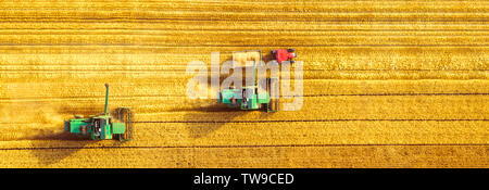 Macchina mietitrebbiatrice agricoltura raccolta macchina golden mature campo di grano. L'agricoltura. Vista aerea. Foto Stock