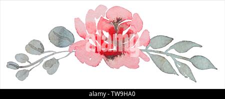 Pittura a mano acquerello rosa, fiore pattern Illustrazione Vettoriale