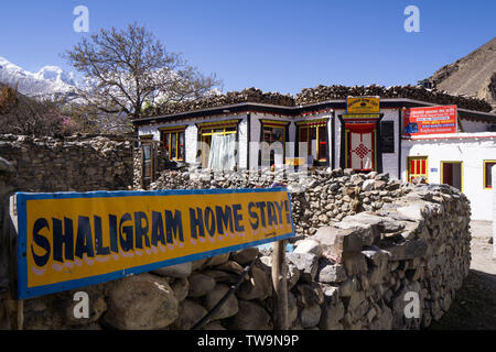 Shaligram Home Soggiorno, Kagbeni, Mustang superiore, Nepal Foto Stock