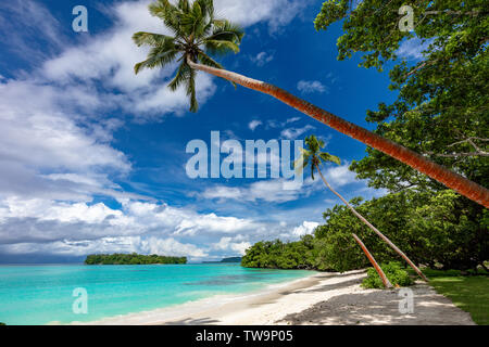 Porta incredibile Orly spiaggia sabbiosa con palme, Espiritu Santo Isola, Vanuatu. Foto Stock