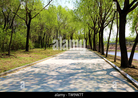 Lo scenario della Red Xinglong Bureau Foto Stock