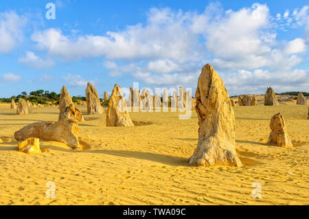 Colonne di pietra calcarea nel Deserto Pinnacles del Nambung National Park - Cervantes, WA, Australia Foto Stock