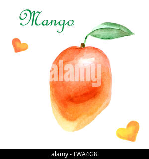 Acquerello illustrazione tropicale con mango isolato su uno sfondo bianco Foto Stock
