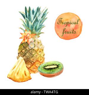 Acquerello composizione tropicale con ananas e kiwi isolato su uno sfondo bianco Foto Stock