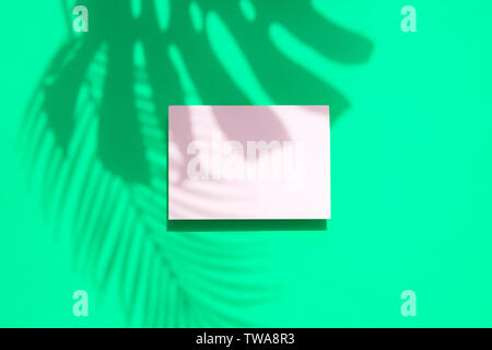 Monstera tropicale di foglie di palma ombra con un vuoto bianco telaio della scheda Foto Stock