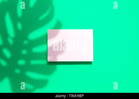 Monstera tropicale di foglie di palma ombra con un vuoto bianco telaio della scheda Foto Stock