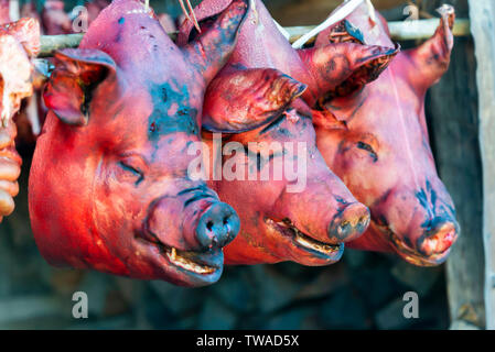 Teste di maiale, villaggio Khonoma, Nagaland, India. Foto Stock