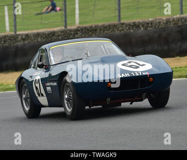 Dottor Allan Ross-Jones, Richard Dodkins, Triumph TR4 SLR, gentleman driver, Pre-66 le vetture GT, Maestri storica festa, Brands Hatch, maggio 2019. Marchi ha Foto Stock