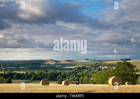 Le balle di paglia sulla collina sopra il villaggio di Corton nella Wylye Valley nel Wiltshire. Foto Stock